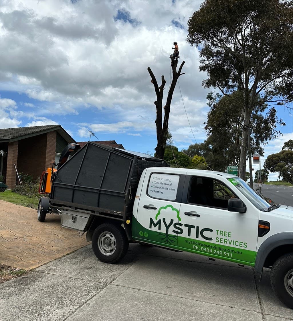 Mystic Tree Services