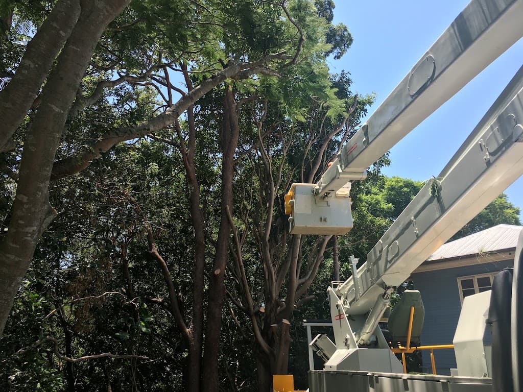 Tree Lopping Brisbane Southside