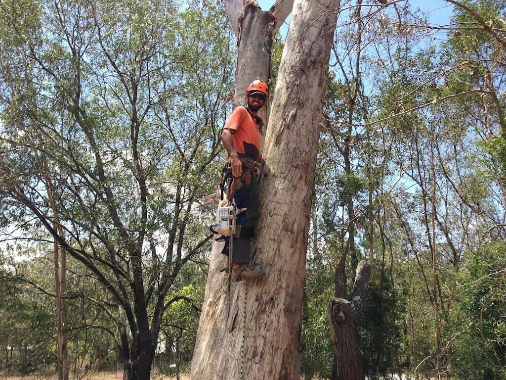 Ecological Tree Services