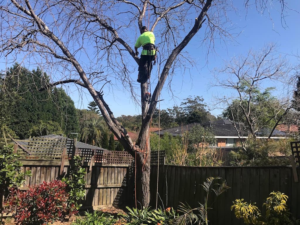 At Your Tree Service