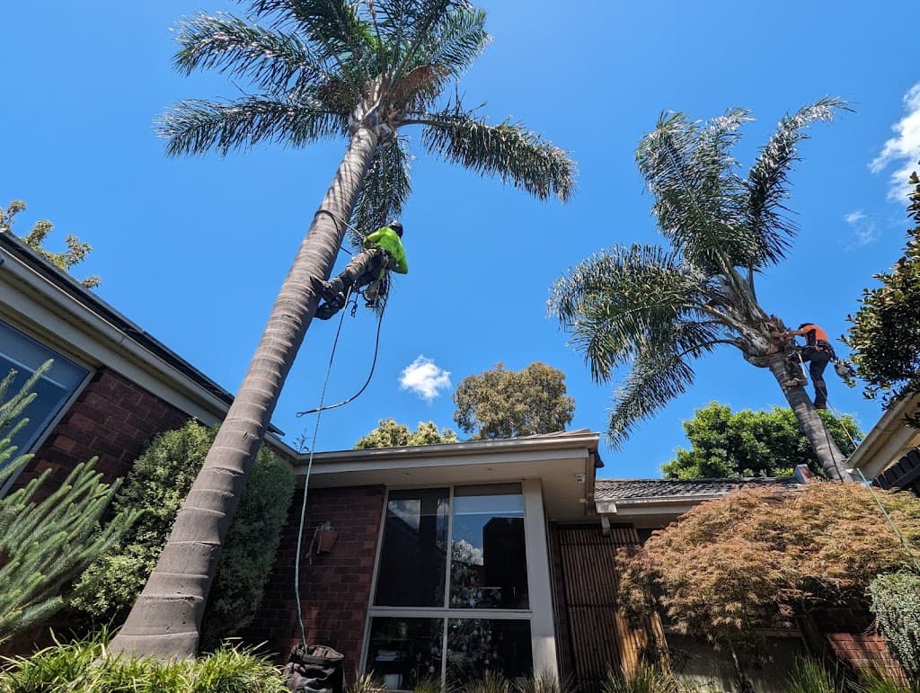 Tree Removal Company