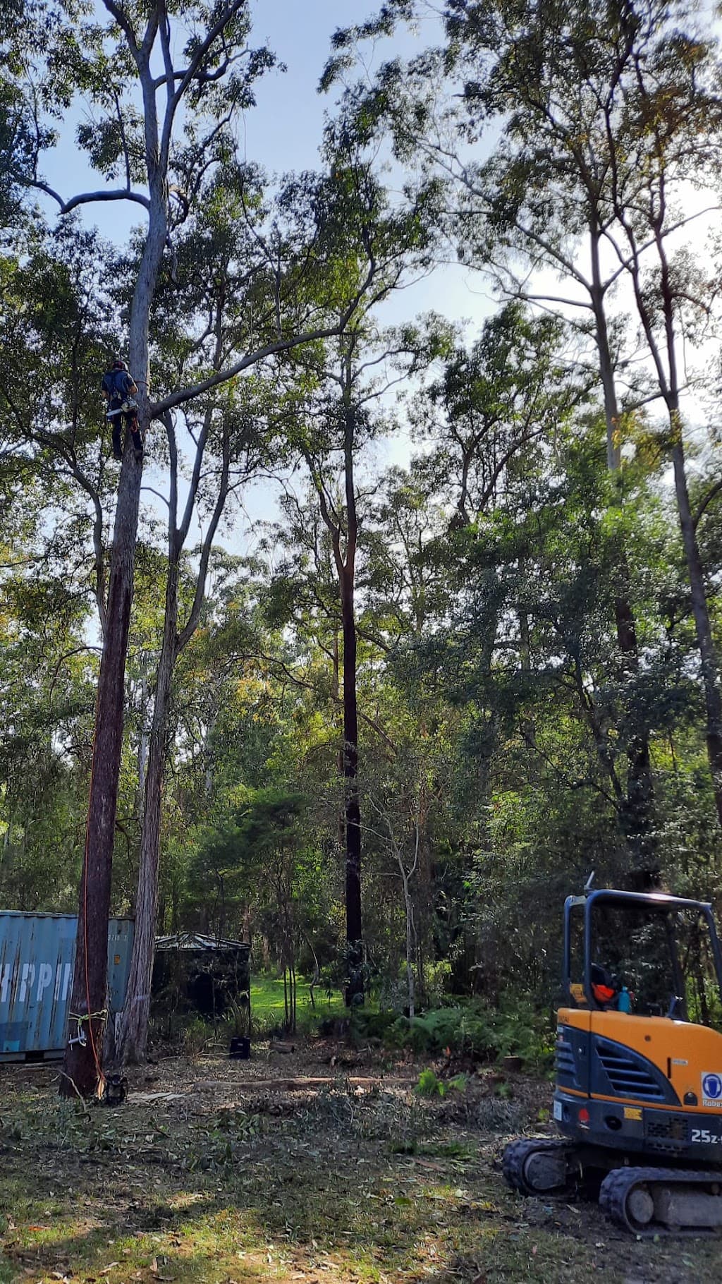 Greenish Tree Care