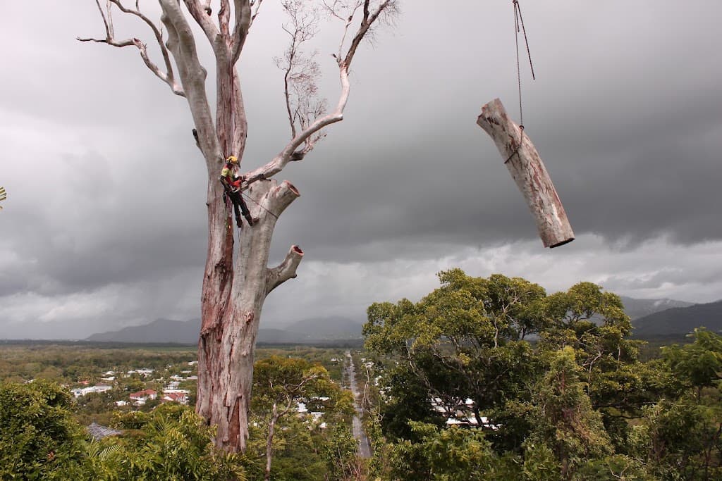 Branching Out Tree Specialists