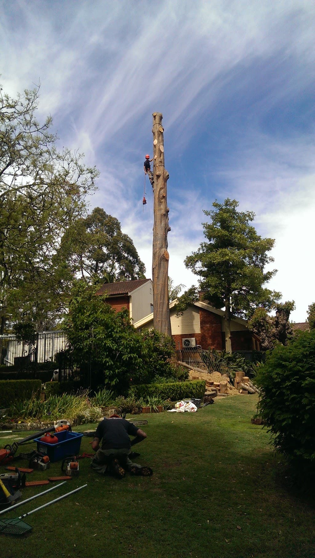 JW Tree Services