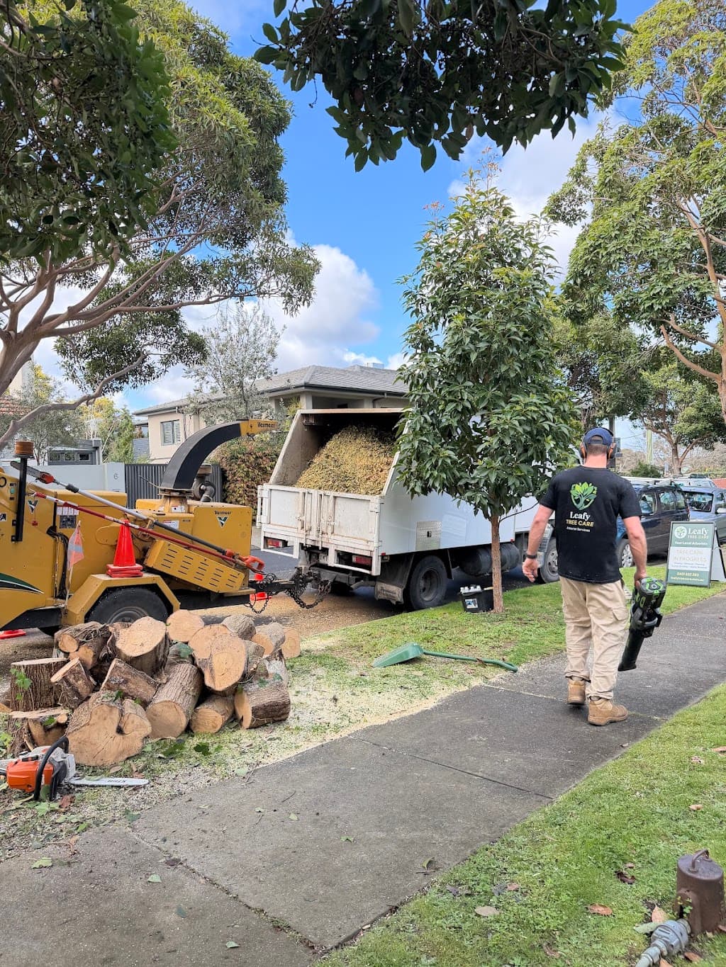 Leafy Tree Care