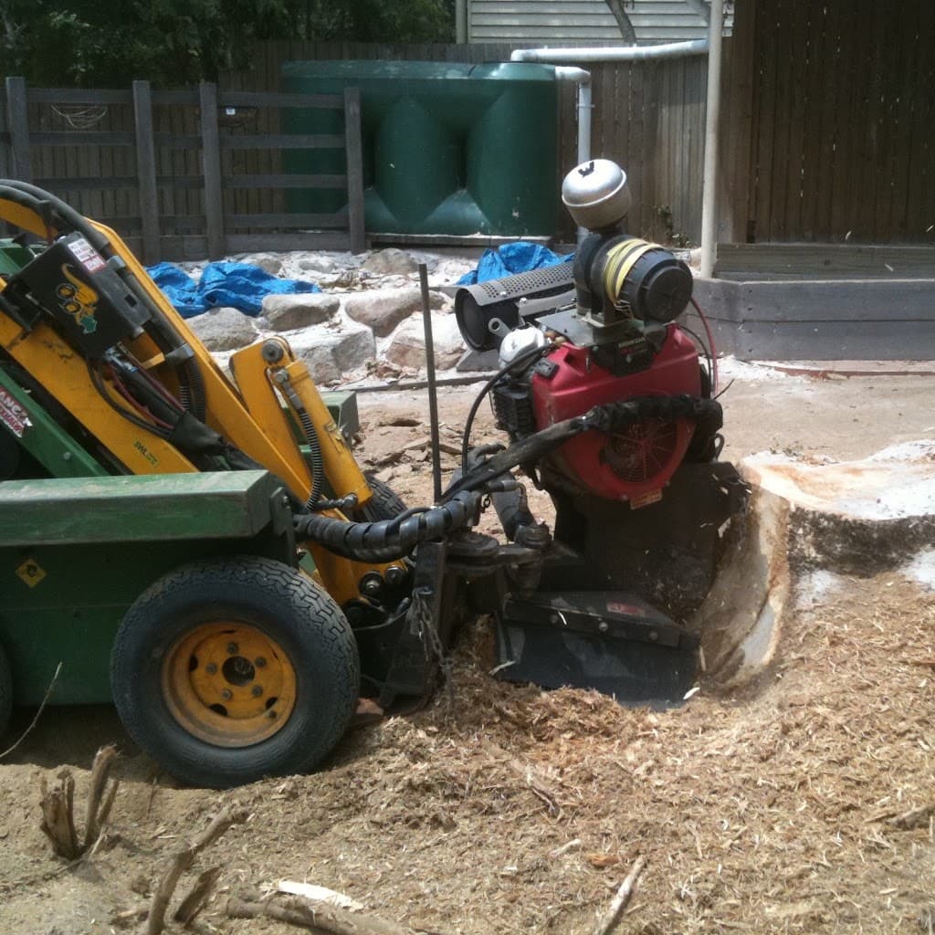 Just Stumpgrinding