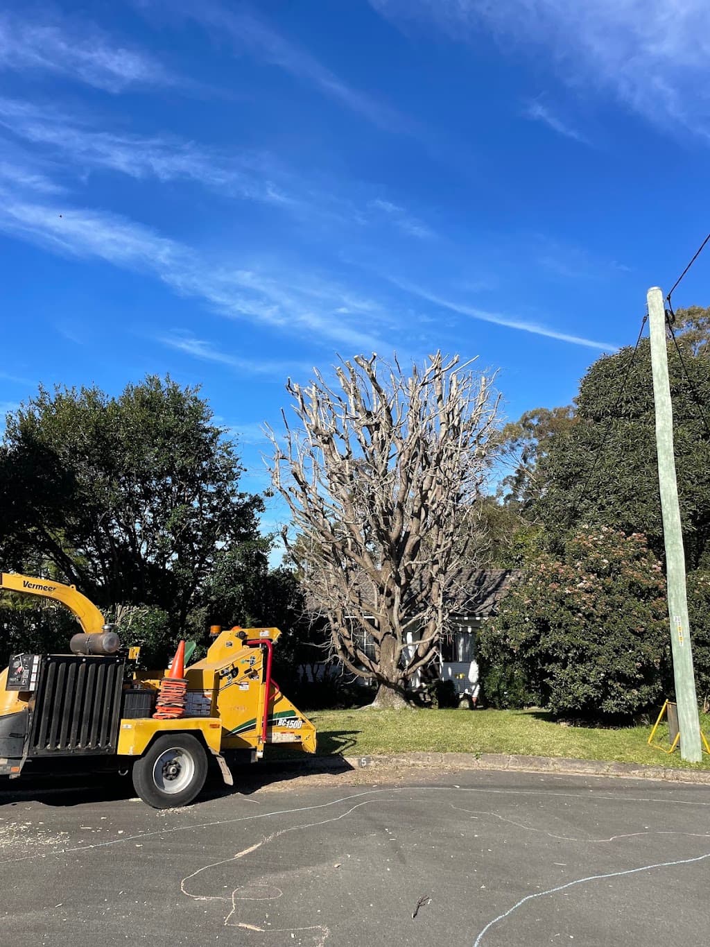 Urban Tree Solutions