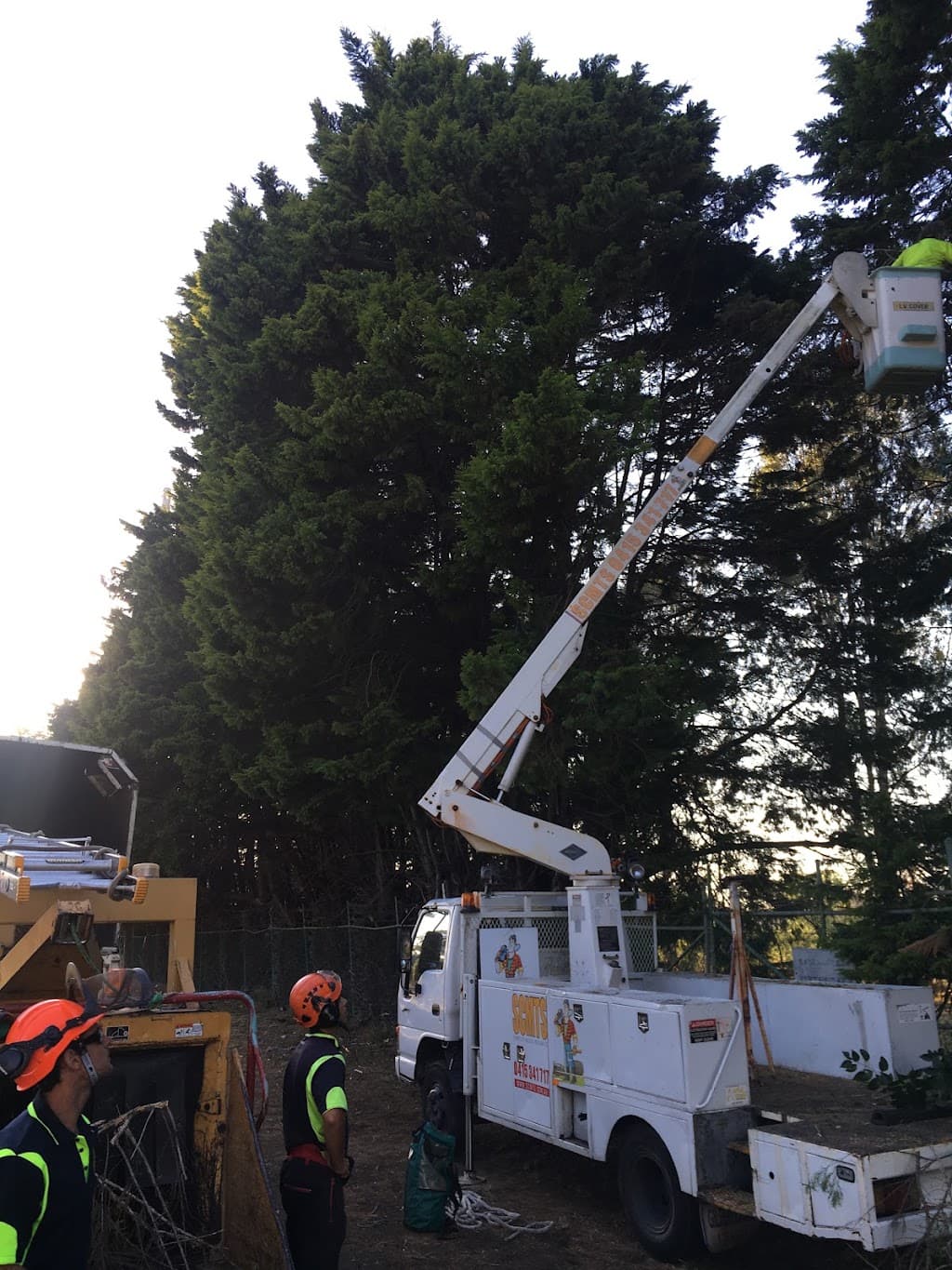 Sydney City Mulch & Tree Service