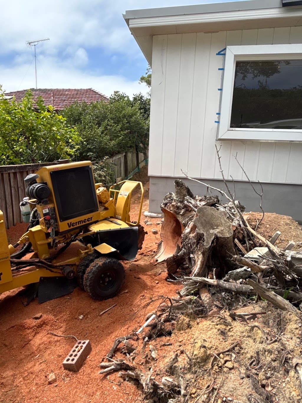 Sydney Stump Specialist