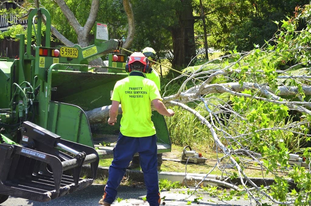 Priority Tree Services