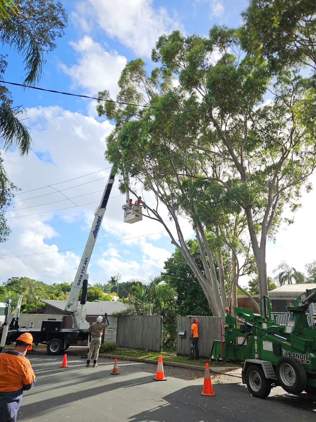 Mudjimba Tree Services