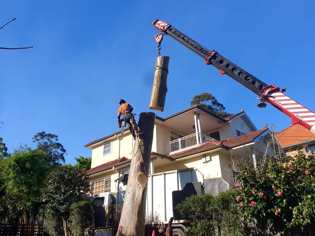 AA Tree Services Sydney