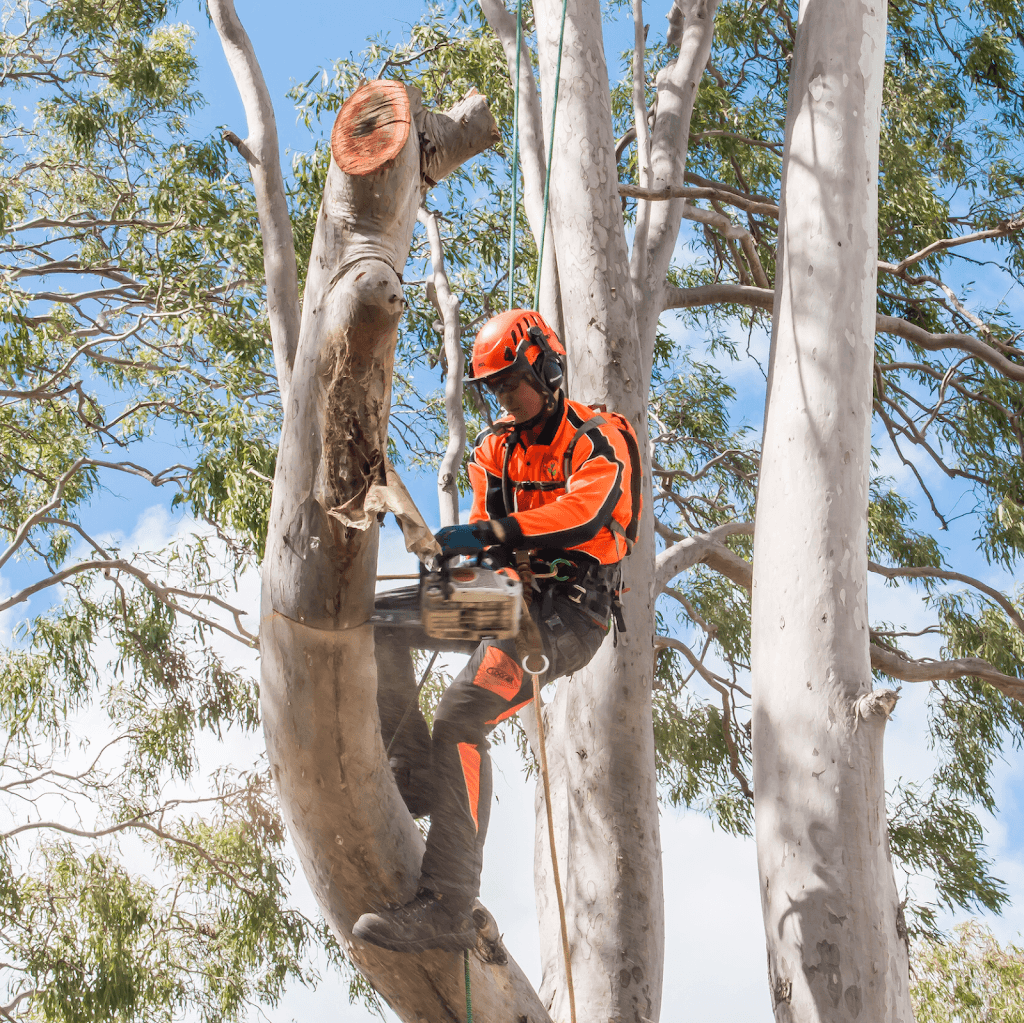 DAM Services - Diverse Asset Maintenance Services
