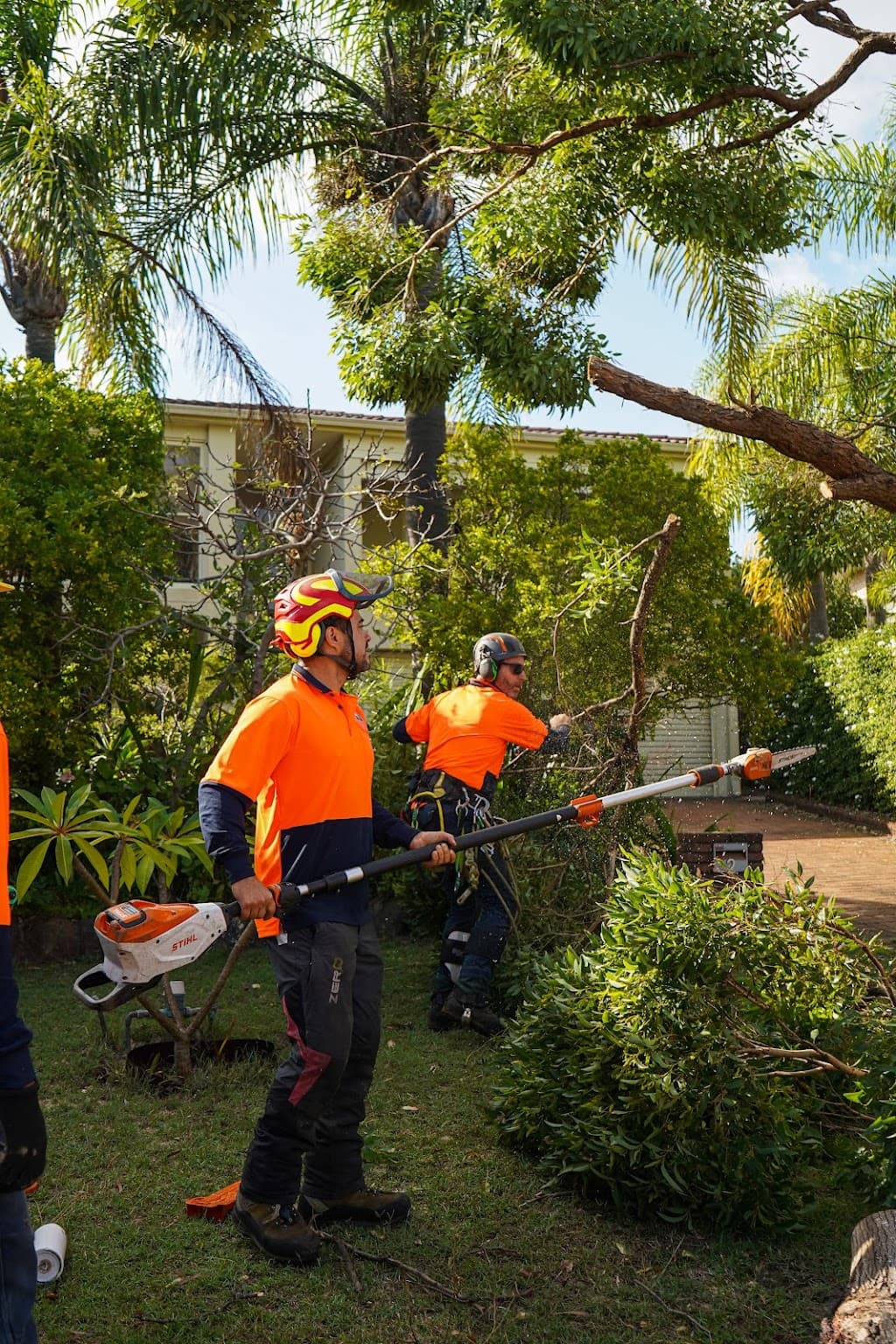 Home Trees Services
