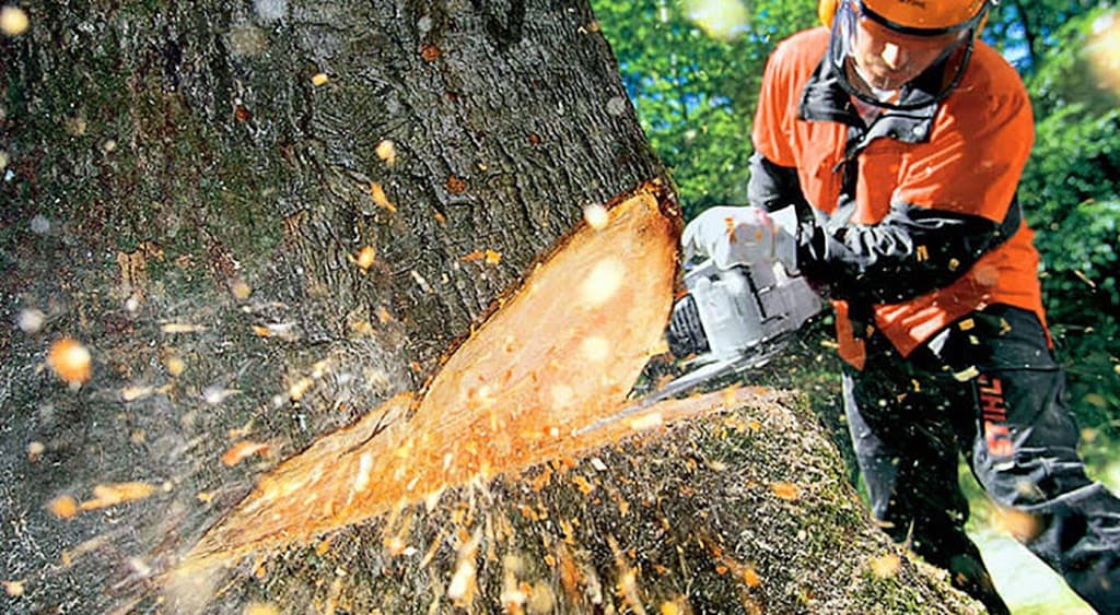 Tree Services Mackay