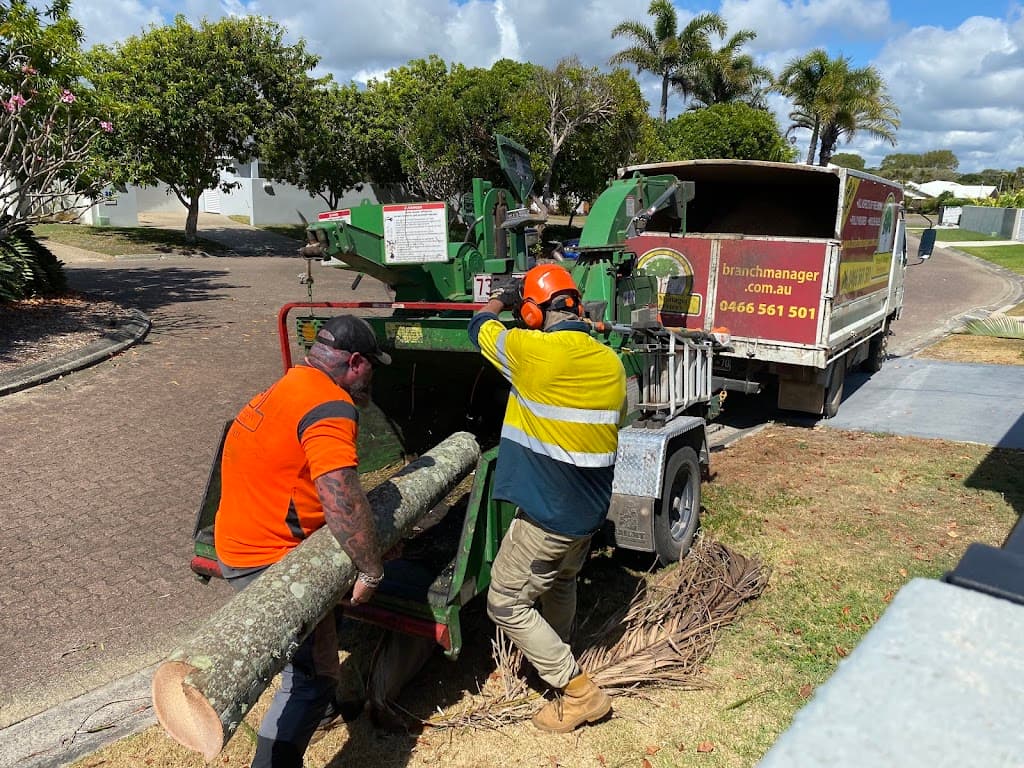 Branch Manager Tree Services