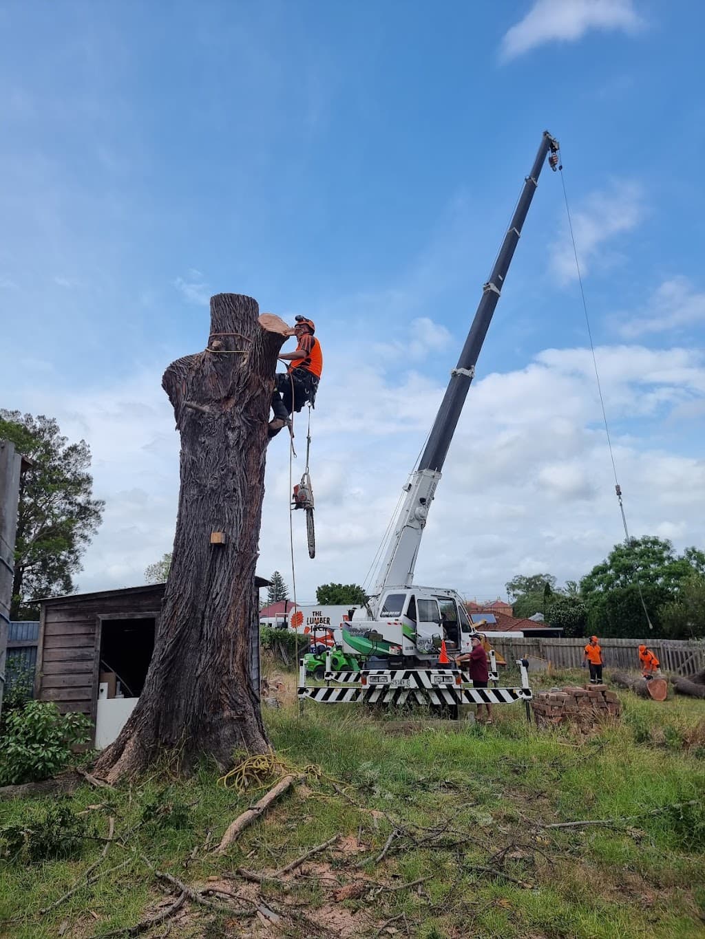 THE LUMBERJACK TREE SERVICE