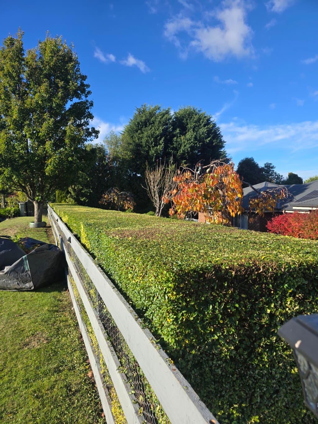 EZE Lawn