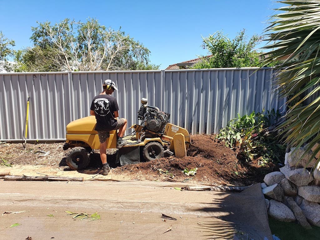 Woodys Tree & Stump Removal