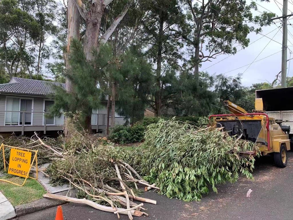 Complete Tree Experts Pty Ltd