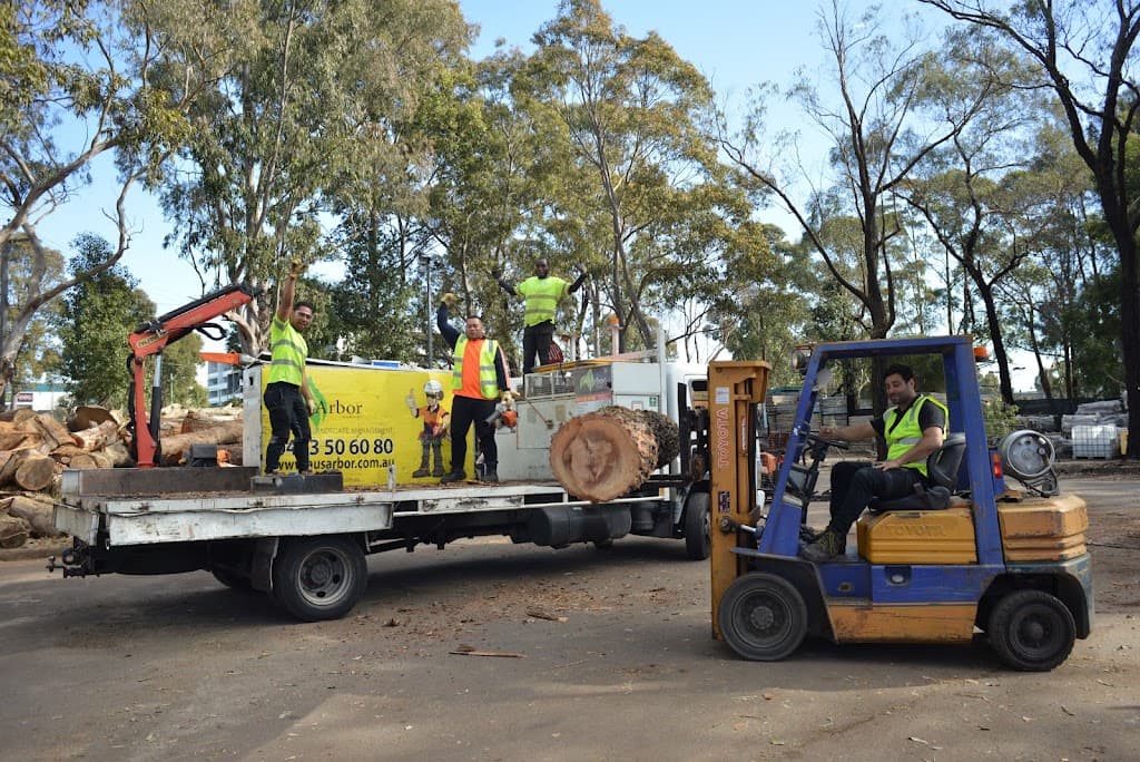 Aus Arbor Tree Services Sydney
