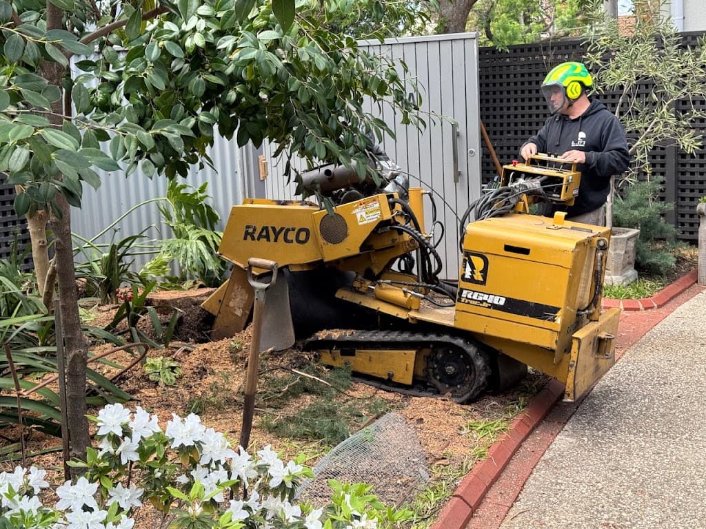 Rocky's Tree Removal