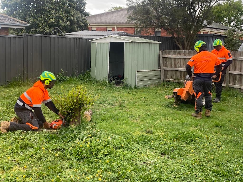 Green & Gold Tree Services