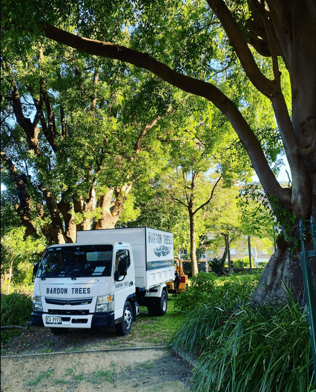 Bardon Trees