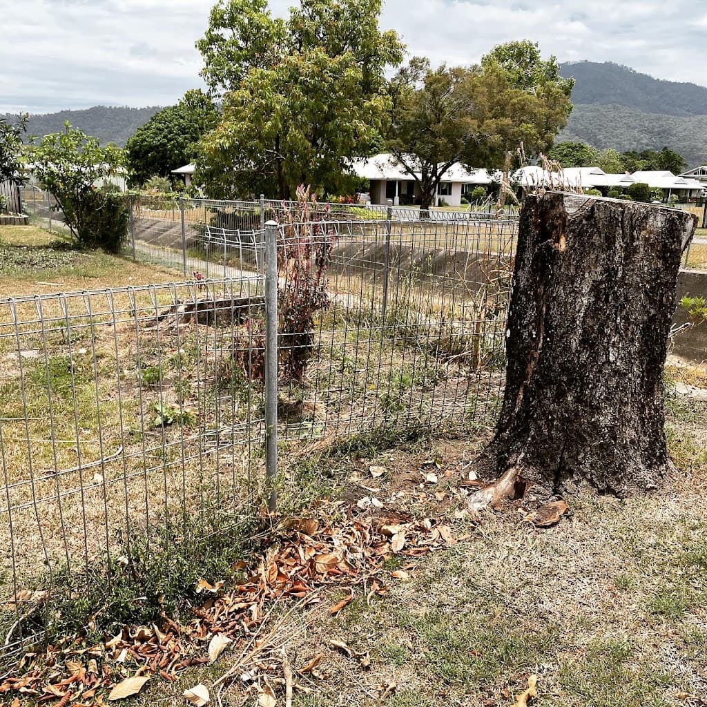 FNQ Stump Grinding