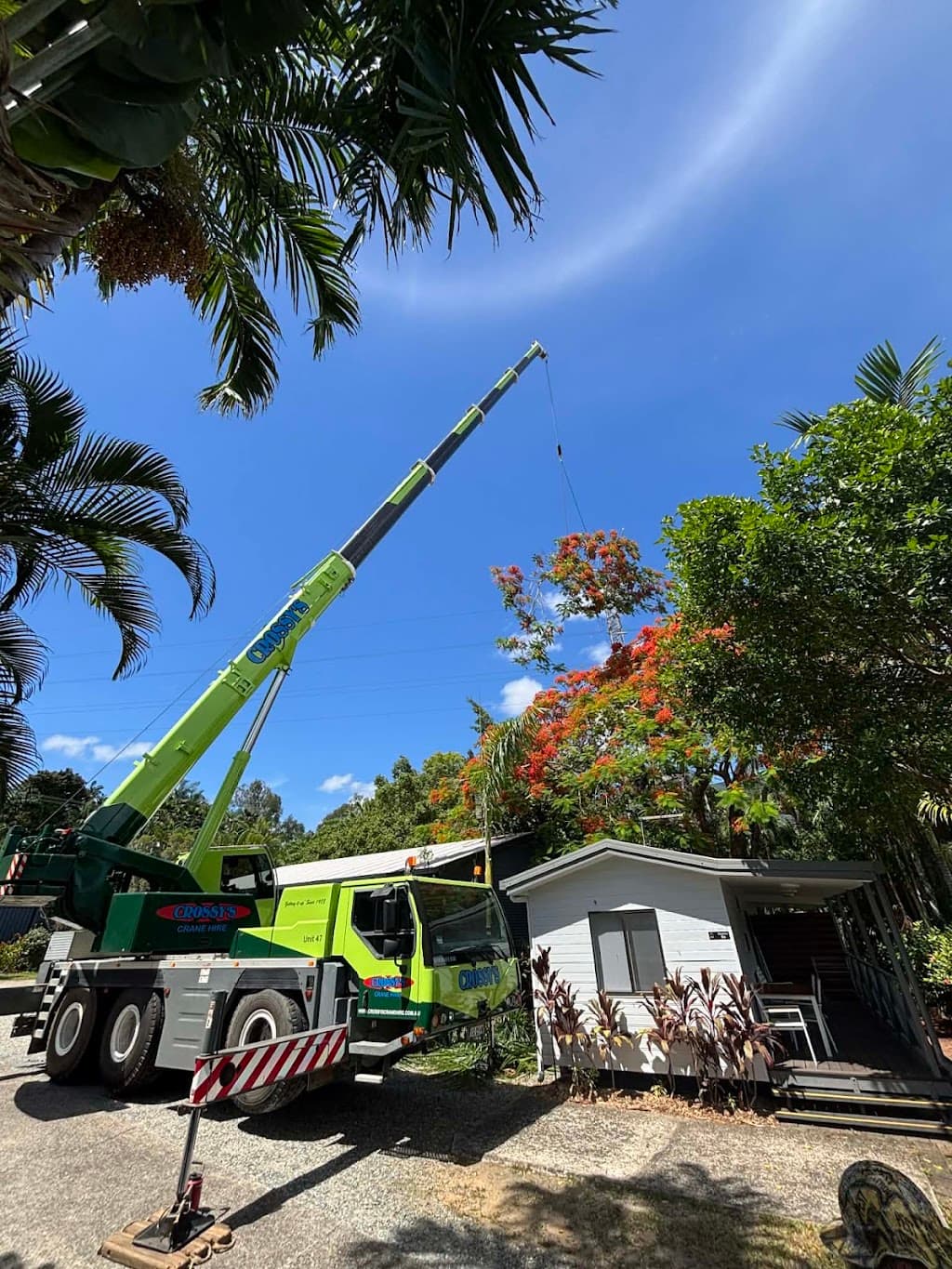 Thomas Arboriculture