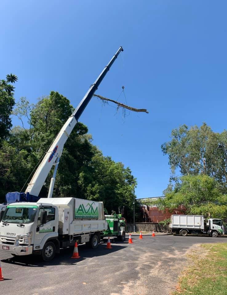 Advanced Vegetation Management