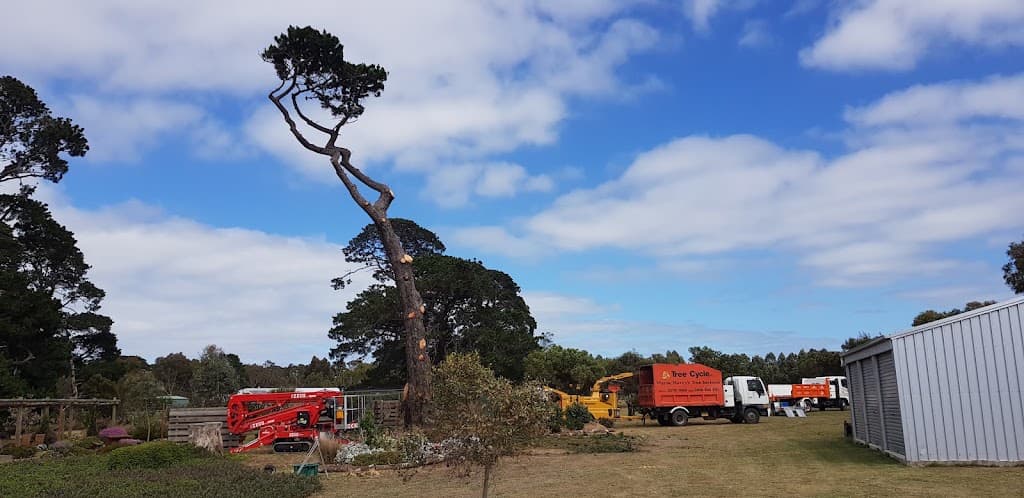Wayne Barry's Tree Services