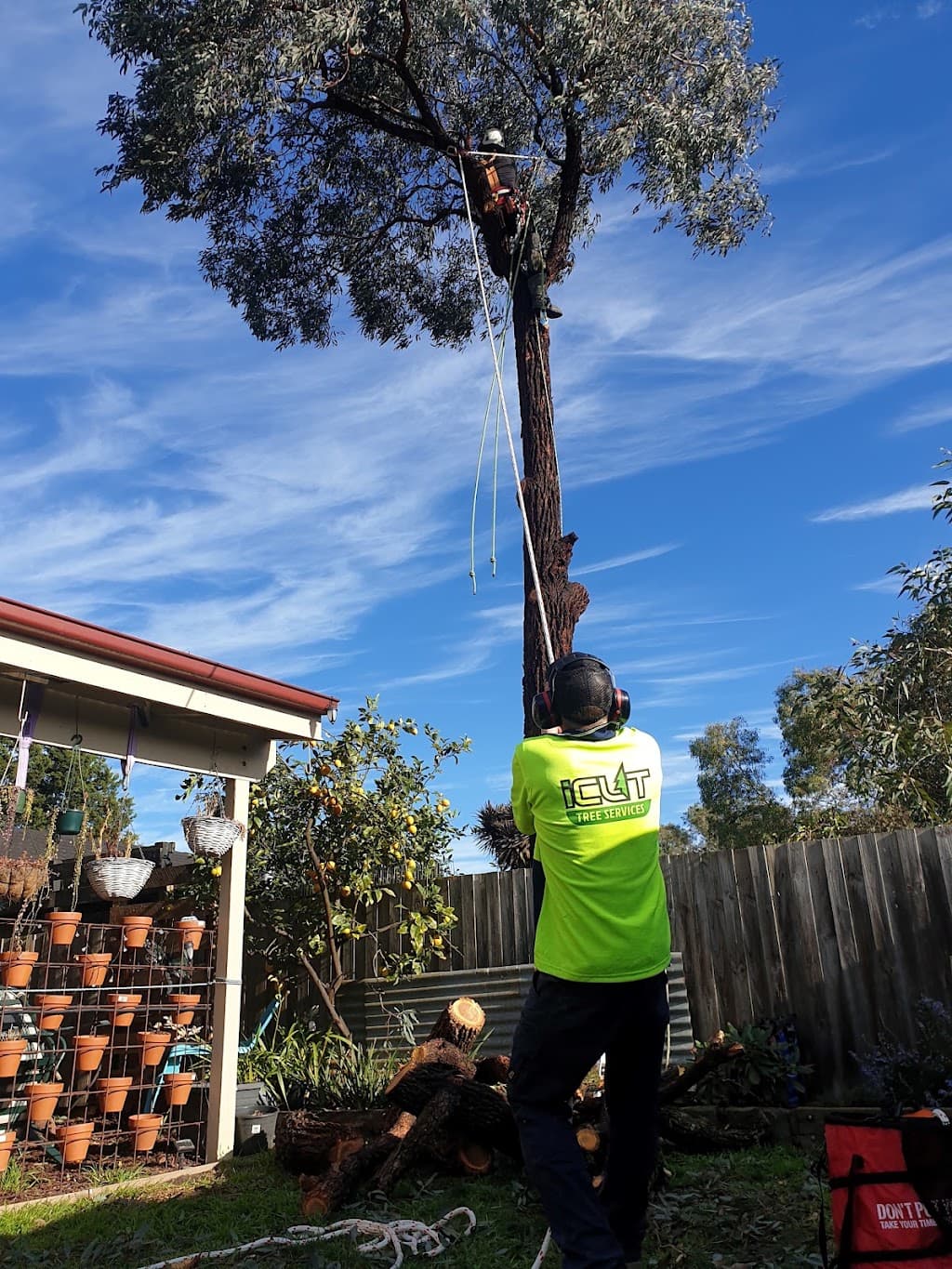I Cut Tree Services