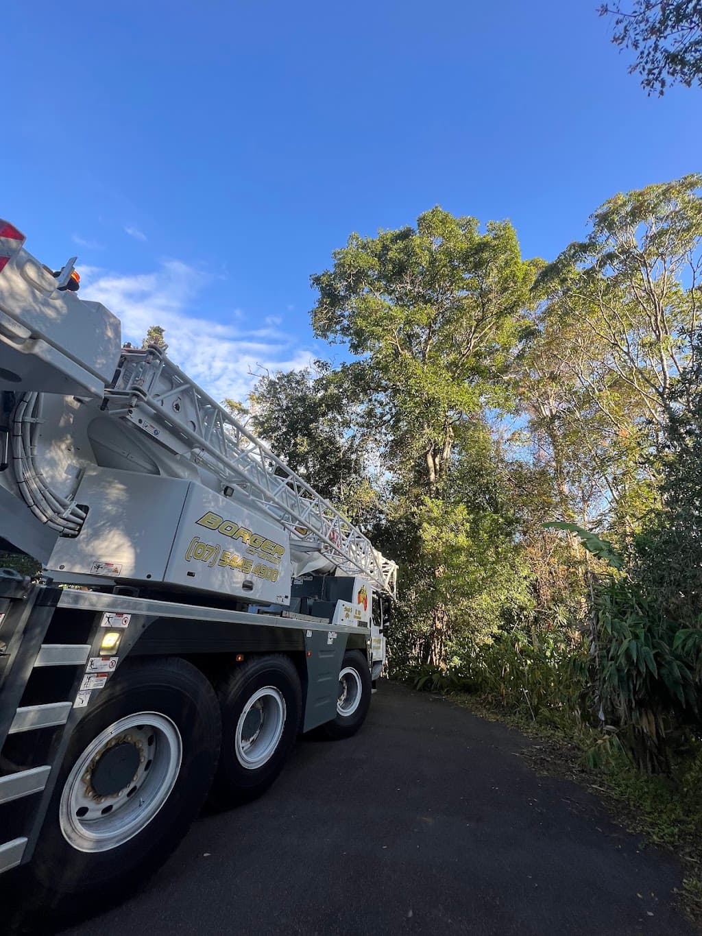 Elite Tree Company