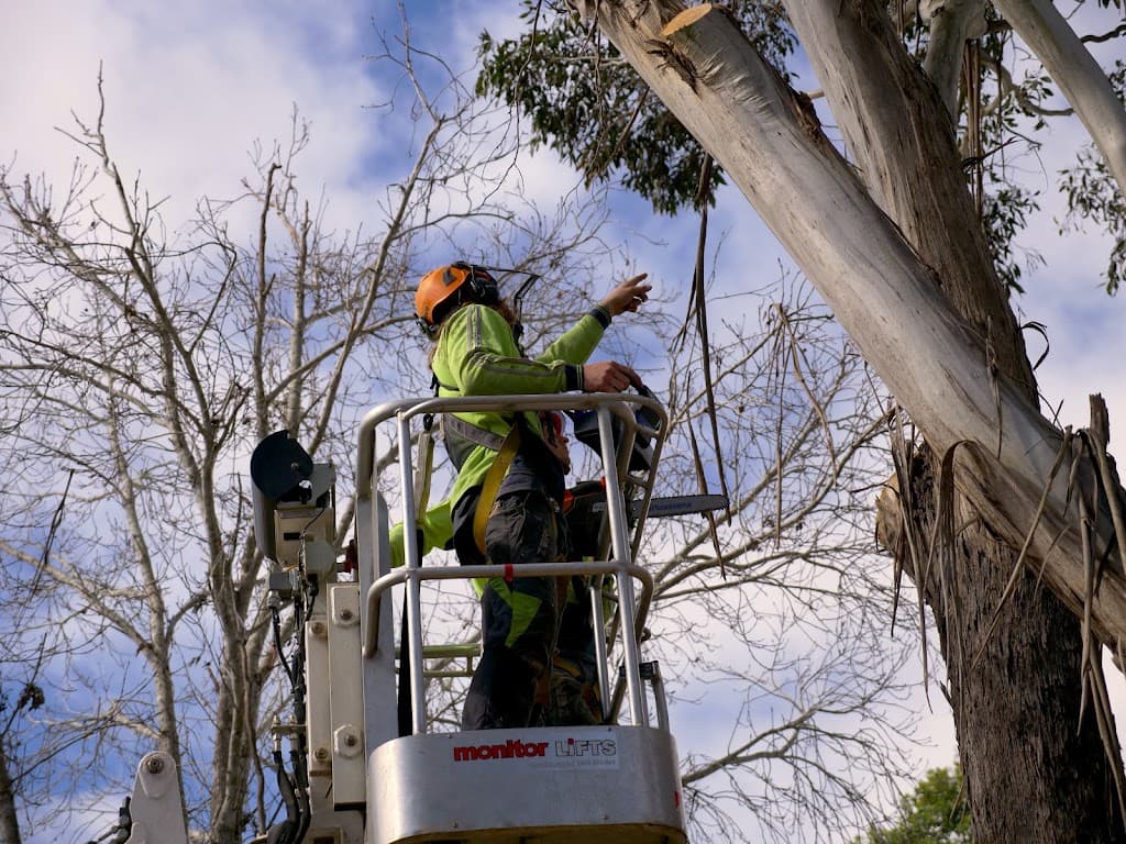 Eden Tree Service