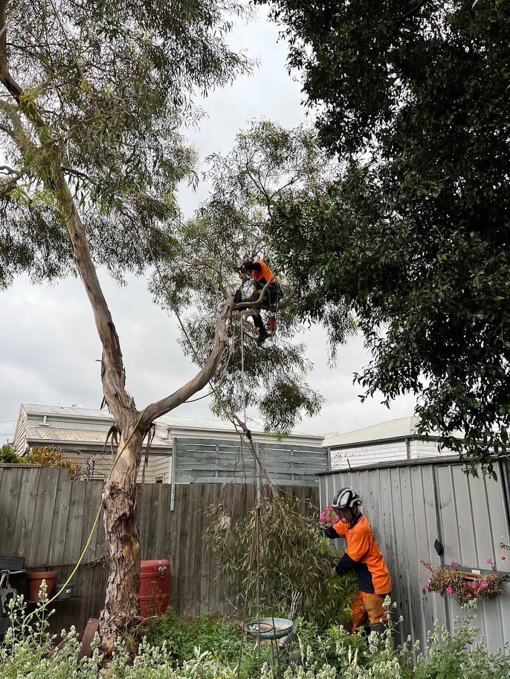 The Higher Climber Tree Services