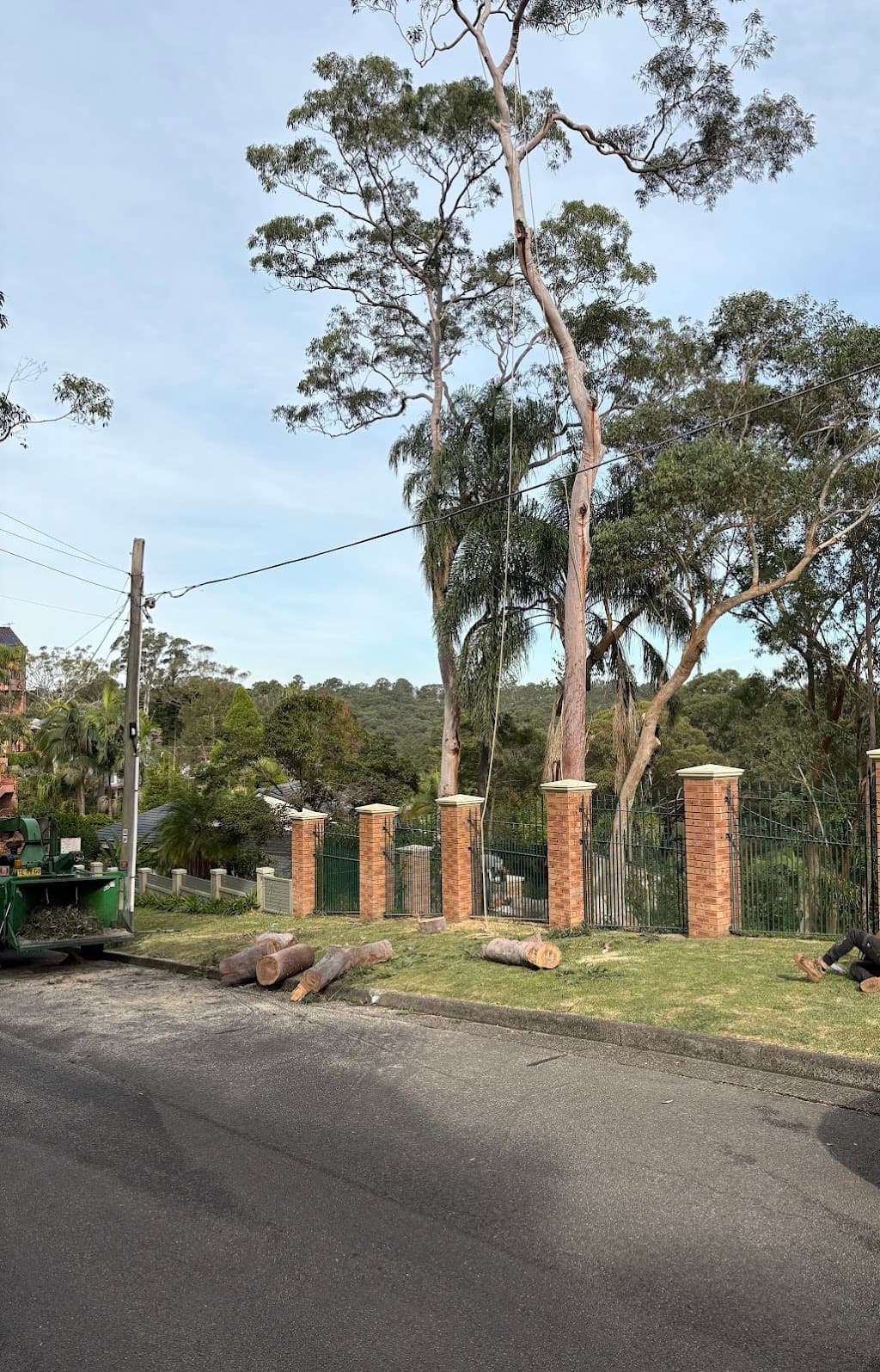 EAS Tree Lopping Sydney