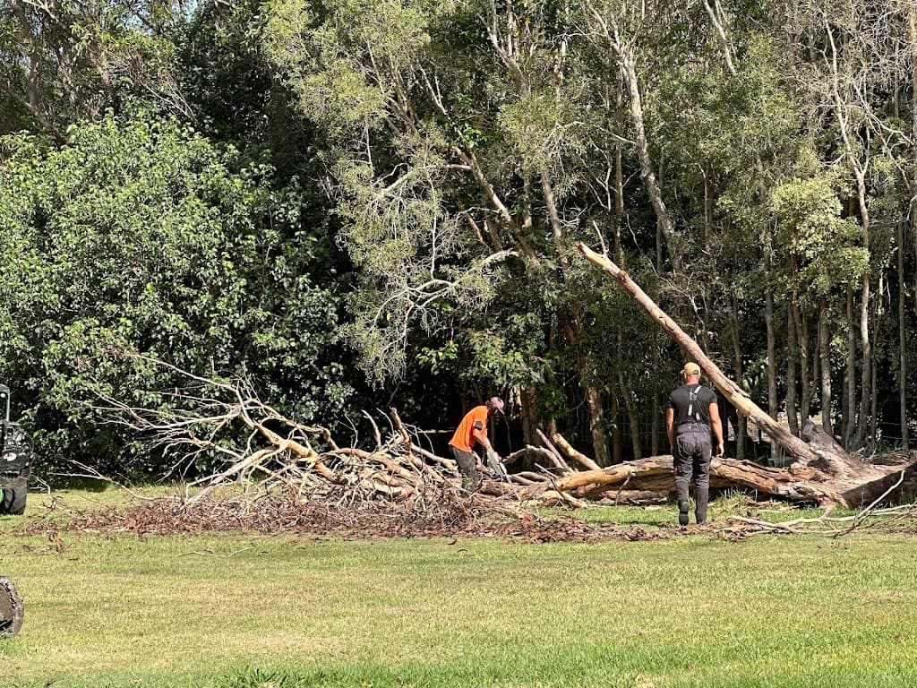 Hinterland Tree and Stump Removal Sunshine Coast