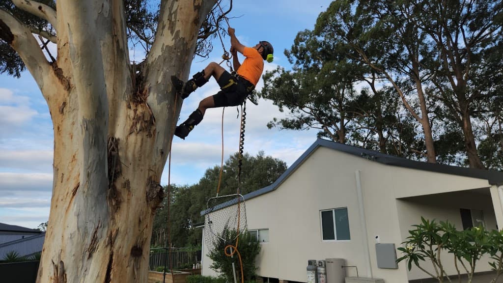 Your Local Arborist