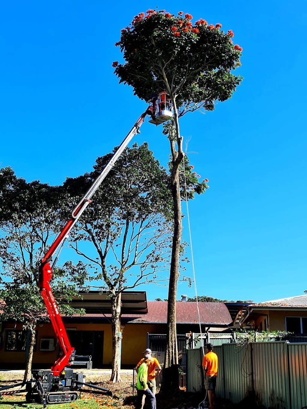 Bumble Bee Tree Services