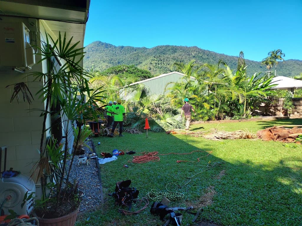 CAIRNS TREE FELLERS