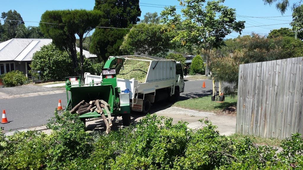 Sustainable Tree Care