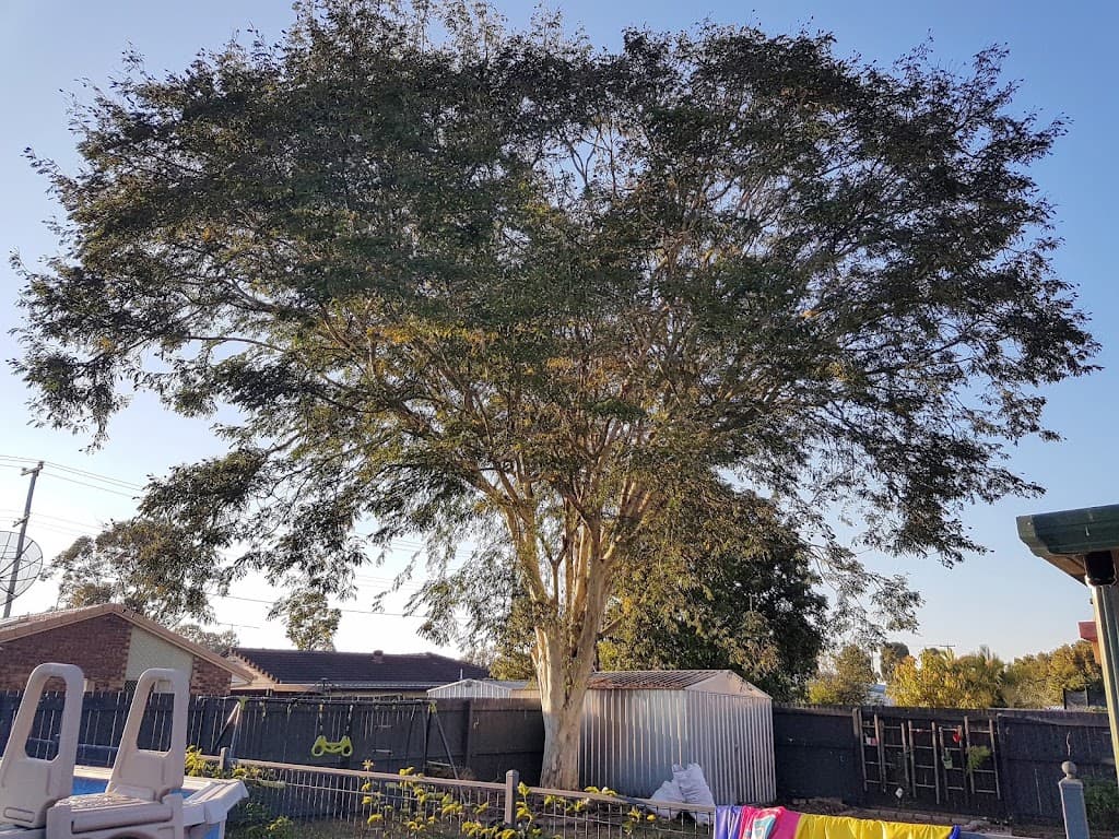 Brisbane Treeworx