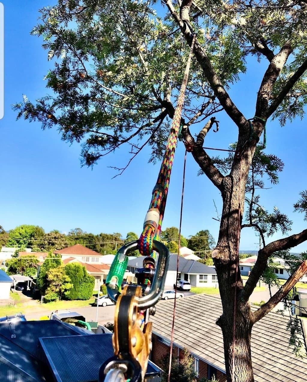 Touchwood Tree Services