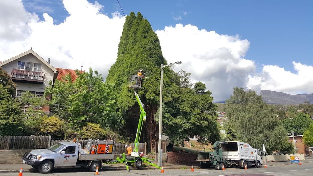 Horizon Tree Service
