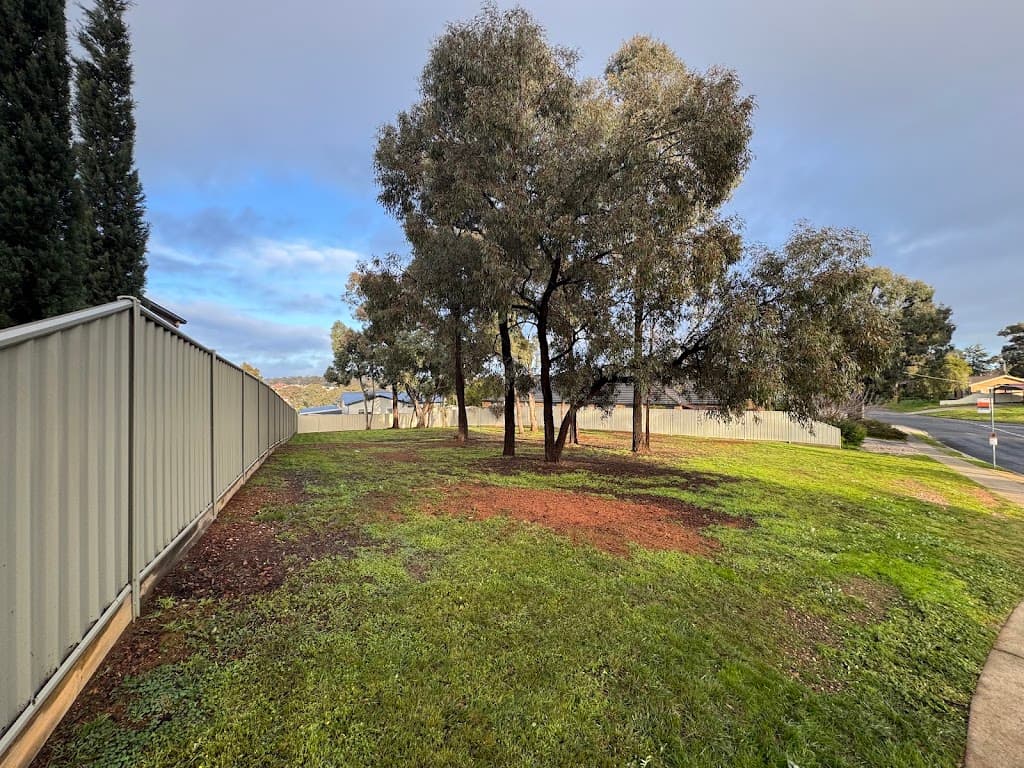 Bendigo Stump Grinding and Tree Removal