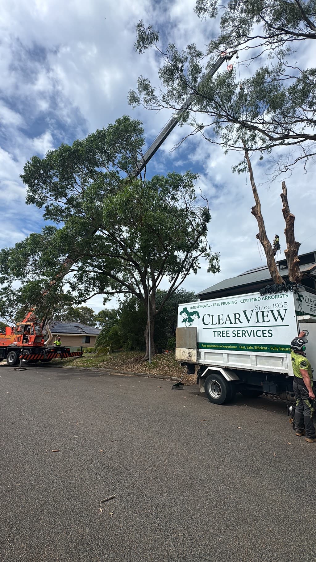 Clearview Tree Service