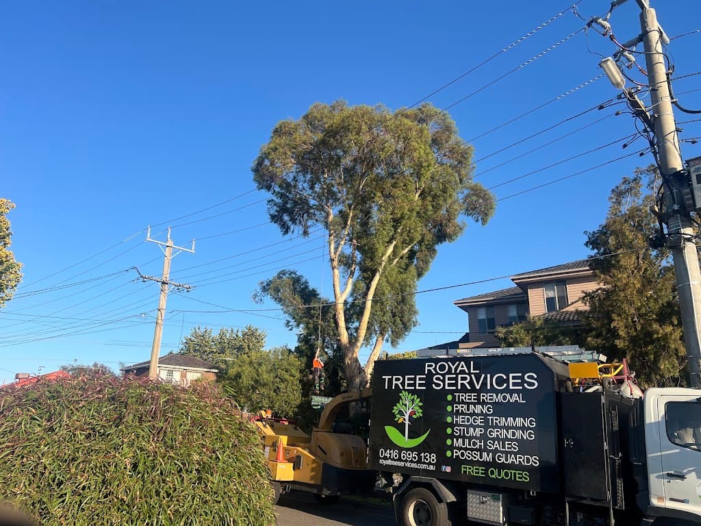 Royal Tree Services