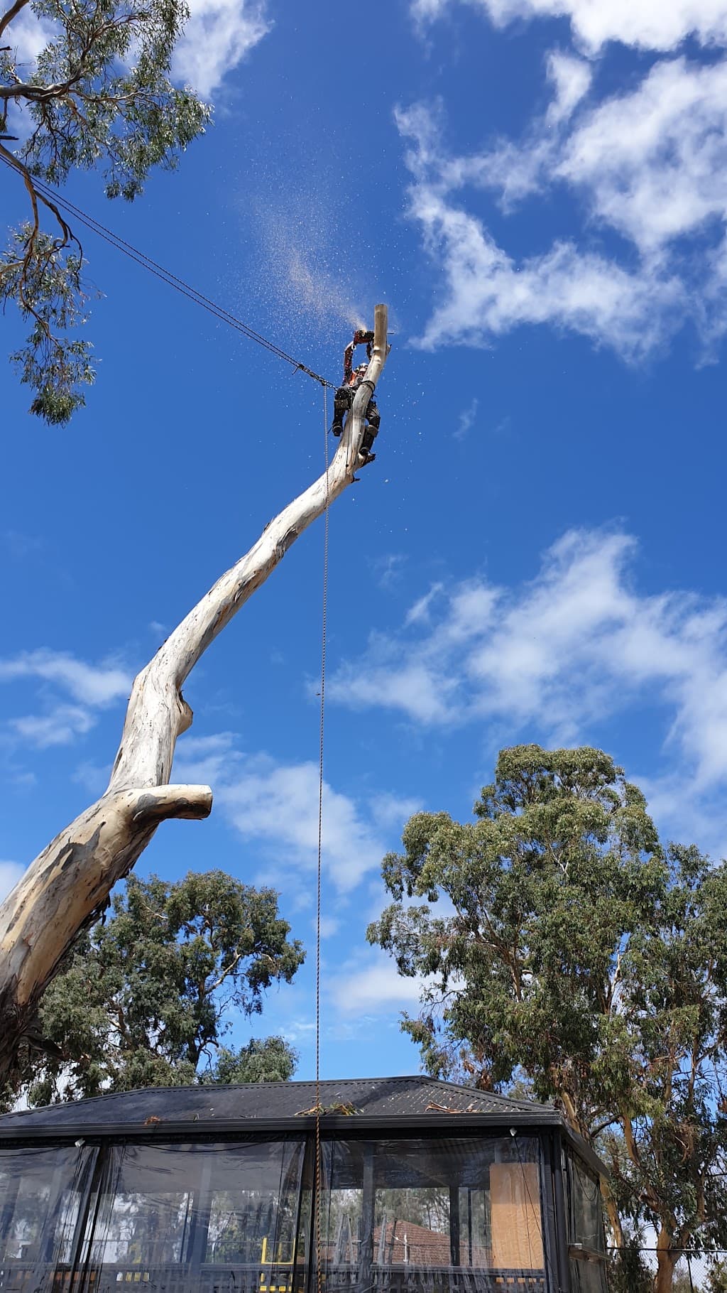 Arbor Co Tasmania