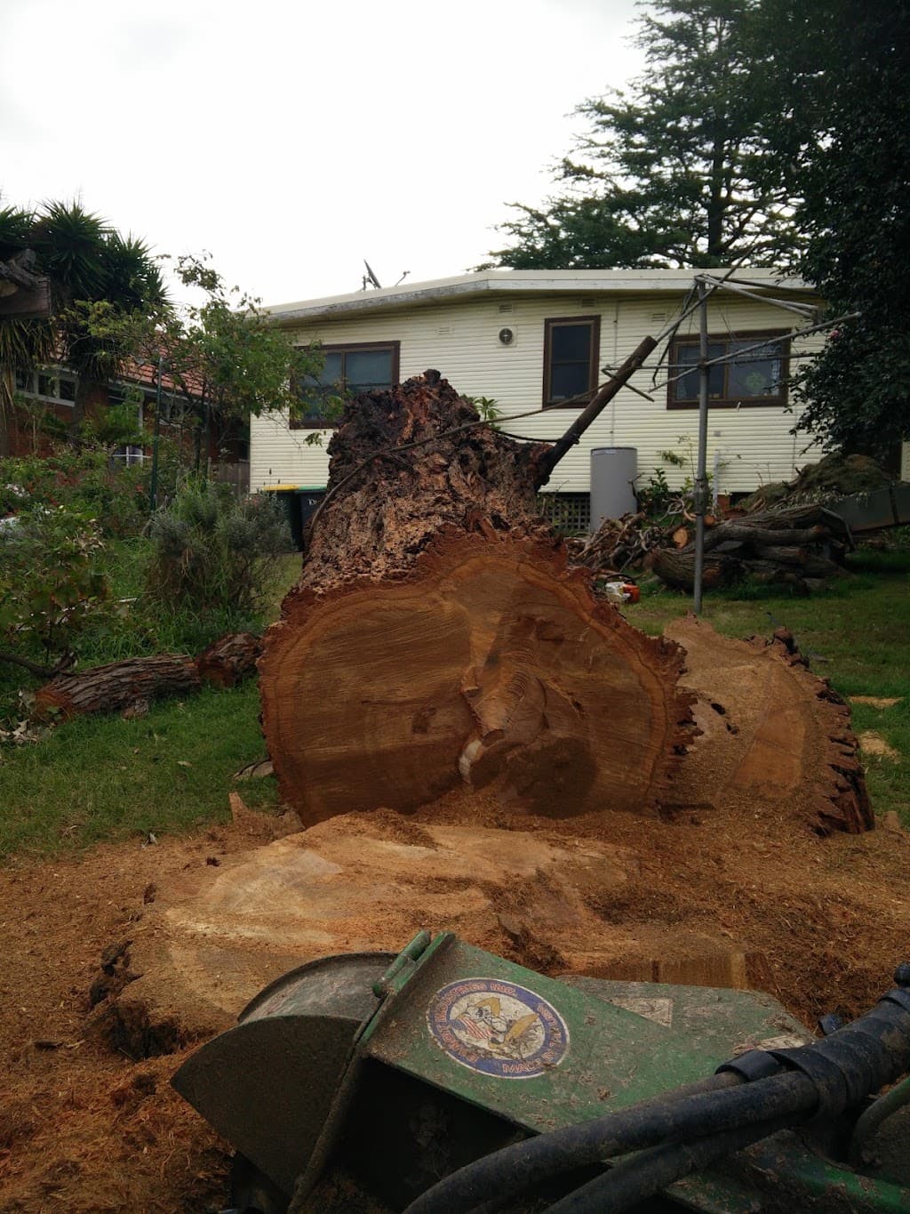 Ninja Stump Grinding